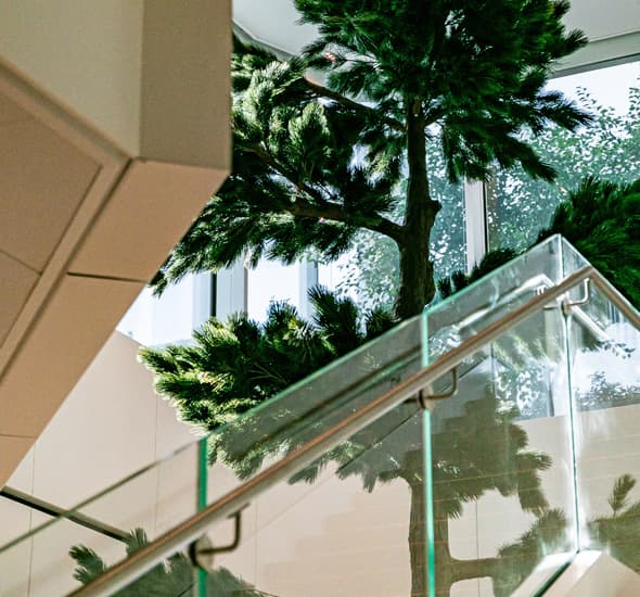 Tour The Link arbre escalier
